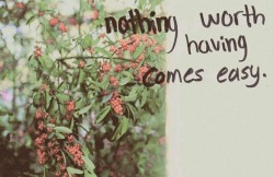 thelovenotebook:  EVERYTHING LOVE