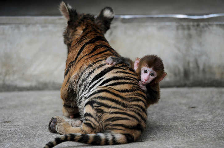 l3gitm1nds:  awh 