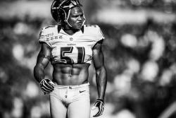 Fuckyeahravens