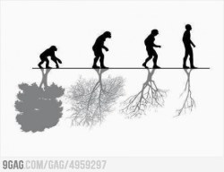 9gag:  Evolution