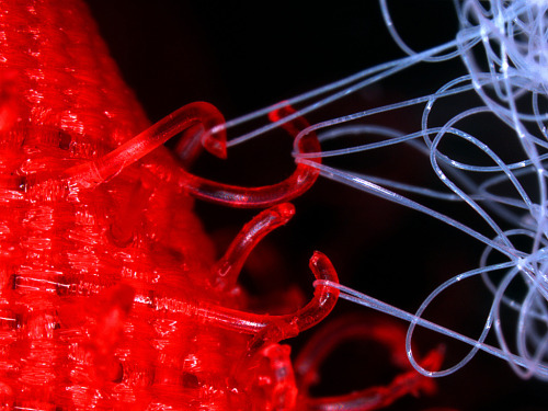photojojo:  It’s a fact that everything looks cooler under 94x magnification!  Velcro Under the Microscope by Tracy Anderson 