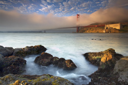 waterfl0w:  Foghorns at the Golden Gate 