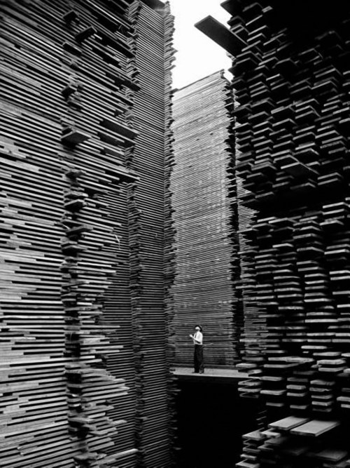 semioticapocalypse: Alfred Eisenstaedt. A man standing in the lumberyard of Seattle Cedar Lumber Man