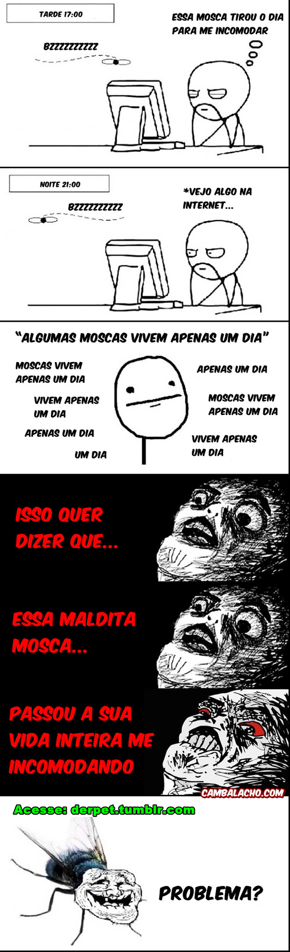 derpet:  kkkkkkkkkkkkkkkkk maldita 