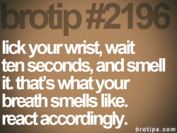 brotips™