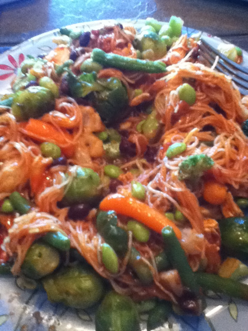 Dinner for tonight…Rice noodles, chicken, tons of steamed veggies, spaghetti sauce (with a li