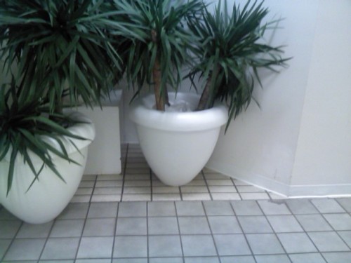 27-cents:  ♥ see more ♥