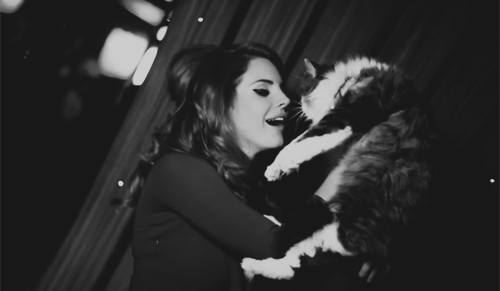 Oh god, Lana and a cat. Perfection. adult photos