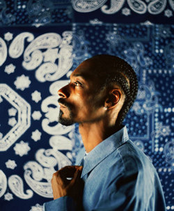 hype-hop:  Snoop Dogg or Snoop Lion, regardless,