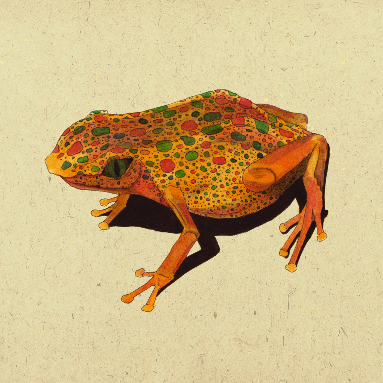 eatsleepdraw:
“Crunchy Frog by Najmah Salam
I’ve only used the choicest of baby frogs and sprinkled it lovingly with glucose! Mm-mm!
For more delicious bits of art, why not try looking through my blog?
”