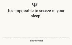 psych-facts:  Sneezing cannot occur during sleep due to REM atonia – a bodily state wherein motor neurons are not stimulated and reflex signals are not relayed to the brain. 