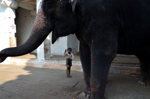 m-a-n-g-o-o:annaharo:Lakshmi. Hampi (by Claire Pismont)this blog is dedicated to more posts like thi