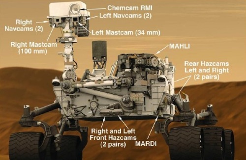 WHAT ABOUT THAT MARDI CAM!
Curiosity carries as many cameras as I’m prone to do.