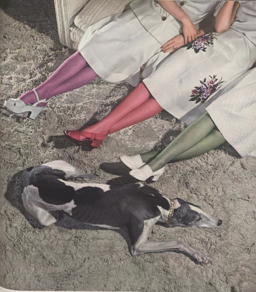 yehyehgrace:   John Rawlings for Vogue (01 JUN 1941) 