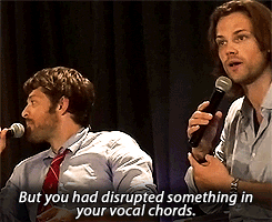  about Castiel’s voice (x) 