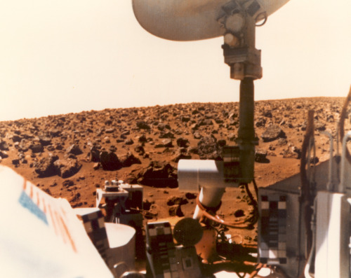 Hipster Viking 1 went to Mars before it was cool. Instagram.