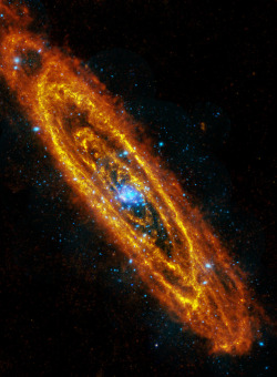 fuckyeahspaceexploration:  The Nine Rings of Hell - Herschel’s infrared image of Andromeda Galaxy 