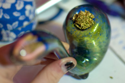 thestonerparadise:  glassss 