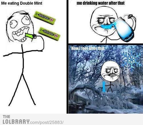 ipostfunnystuff:  Double MintFollow this blog for the best new funny pictures every day