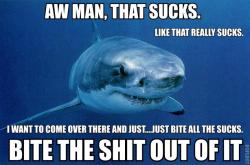 vileplumage:  sweet-tart:  calmingmanatee:  [Image description: A great white shark swimming towards the camera, facing slightly to the right of the frame. TEXT: Aw man, that sucks. Like, that really sucks. I want to come over there and just…bite all