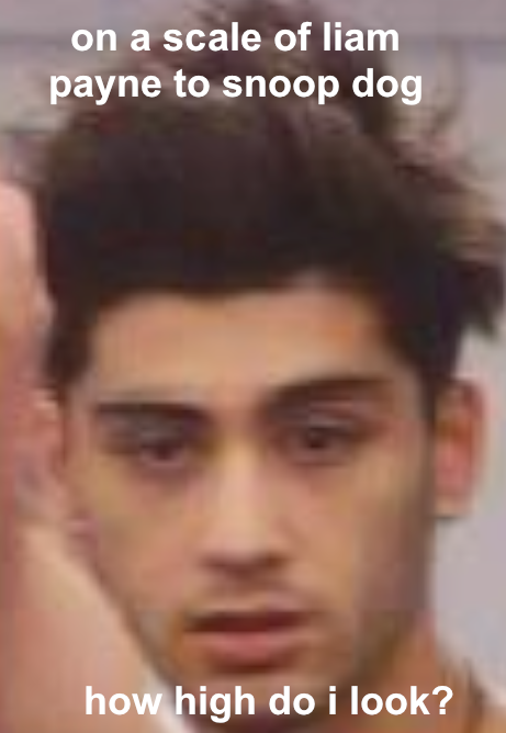 niallsmilesforblaise:  Guys calm down we have nothing to be afraid of. If anything