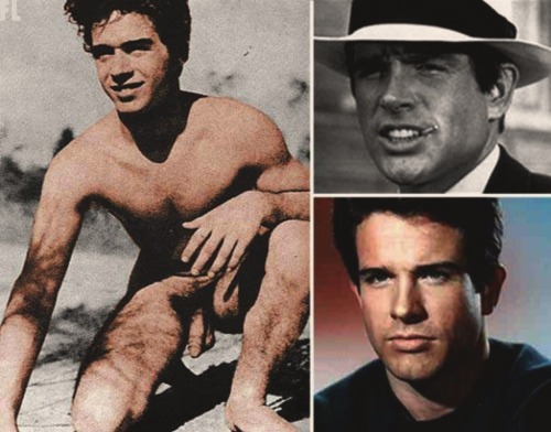 thestevieshow:  warren beatty nude 