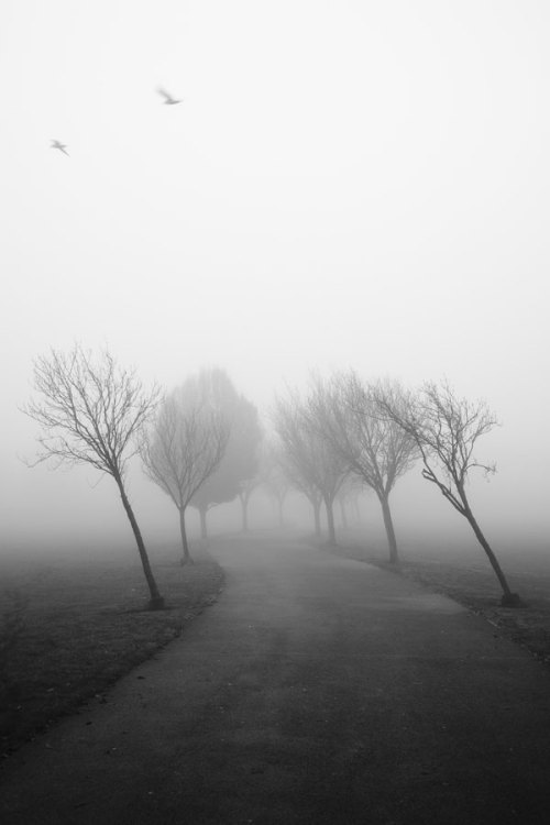 danlbridge:  I’m reposting this shot as it has just been awarded a runners up prize in the City and Guilds UK and Ireland photography prize 2012.  Taken last autumn, i’m hoping for the same weather this year. 