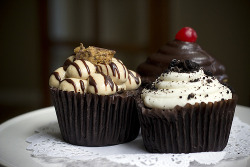 gastrogirl:  cupcakes from ‘katherine’s.’ 