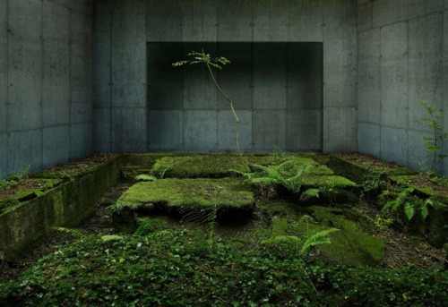 propaedeuticist: The Threshold between Nature and Modernism - Gioberto Noro