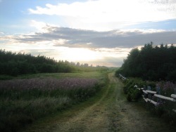  melizza-sue:  “Dear old world’, she murmured, ‘you are very lovely, and I am glad to be alive in you.” ― Anne of Green Gables  