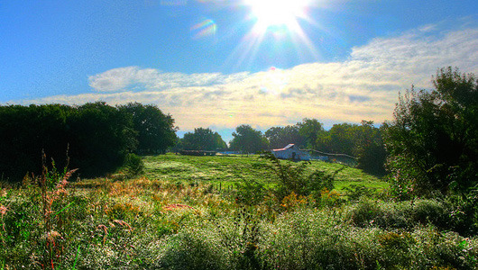 How to share land
Land sharing provides solutions for food security, carbon emissions associated with factory farming and food transport — and much more.