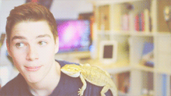perfharries:  Jack Harries being Jack Harries | Ask Jack 