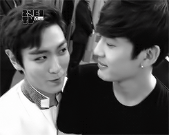 Guys, go get a room.
