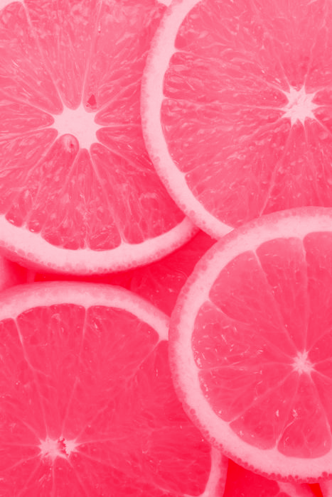 freshdau:  ✖fresh/modern/neon✖ 