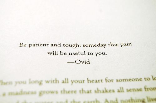 gentledom:  Even if you may not see the sense in it now, it may still unfold some