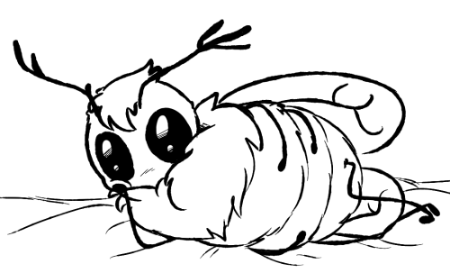 more requests look at all these dang forries