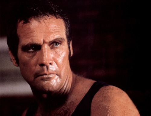 daddies4me:  Lee Majors, the Six Million Dollar daddy!