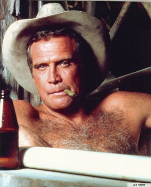 daddies4me:  Lee Majors, the Six Million Dollar daddy!