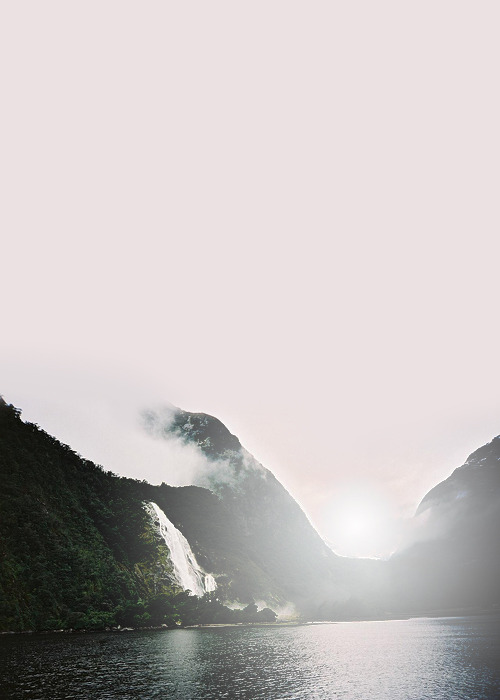 majestic-w0lf:  nature | vintage | animals & more 