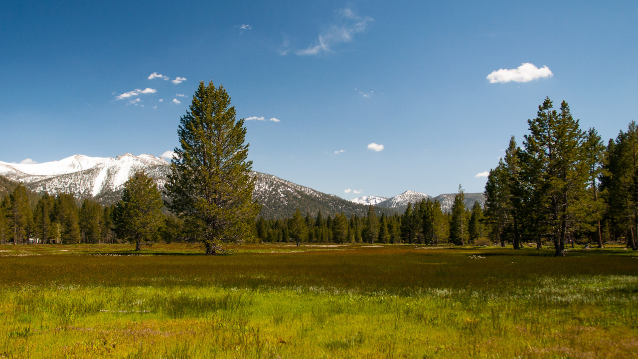 disc golf tahoe