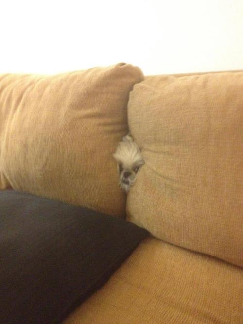 Mulder, It's Me