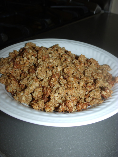  Peanut Butter & Oatmeal Crumble Greek yogurt is an excellent choice for those of us looking t