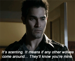  Sterek AU: In which Derek tells Stiles he’s his mate and Stiles has no idea what to say. Derek thinks he doesn’t feel the same way and leaves. When really, Stiles was just speechless for the first time in his entire life. 