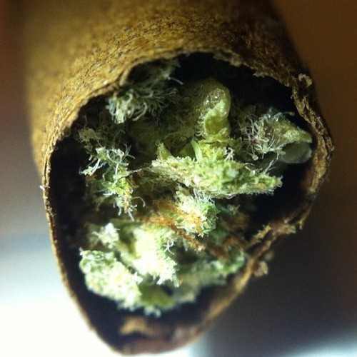 This n' That