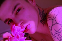 dsanseverino:  Make Model: ashley stymest 