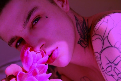 dsanseverino:  Make Model: ashley stymest 