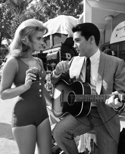 driveintheaterofthemind:  Elvis And Ann Margret Viva Las Vegas Press Photo 