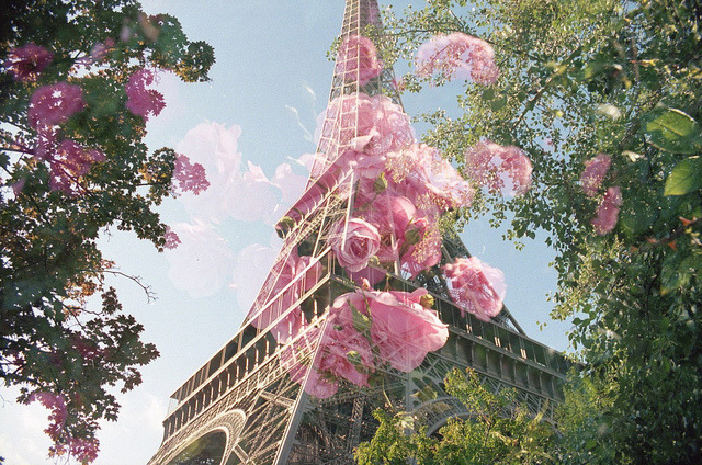 rarum:  i love paris in the springtime by mrjimdoyle on Flickr. 