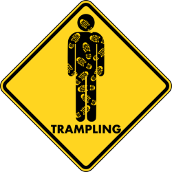    Homosigns followed and carried out  #28 Trampling  