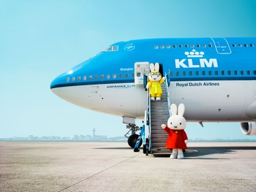 madamecuriewasmymother: Miffy :) 